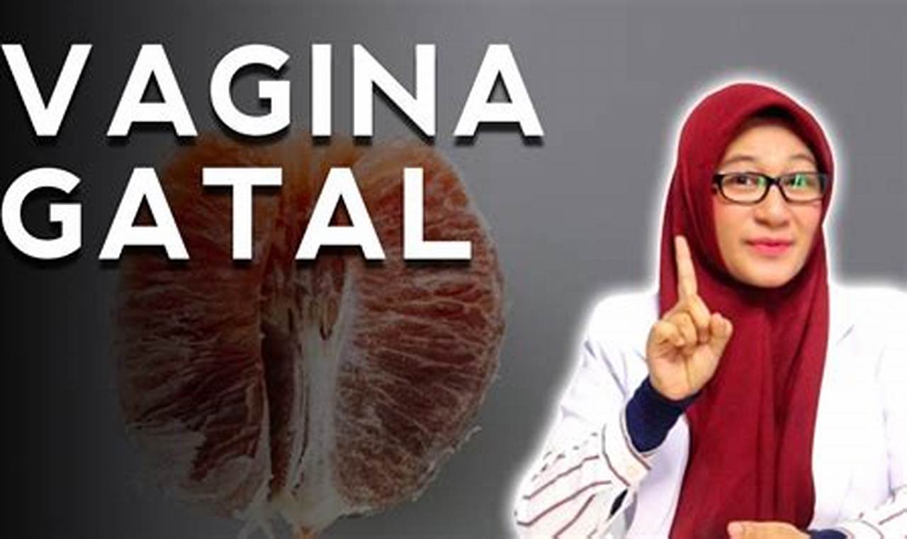 cara mengatasi vagina yang gatal